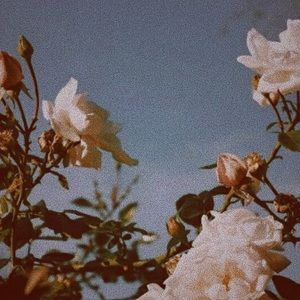 Meet your Posher, Vivian